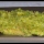 Seitan con crema di zucchine alla paprika e pepe rosa